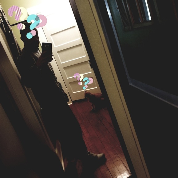 Meet your Posher, Mickey - Picture 4 of 5